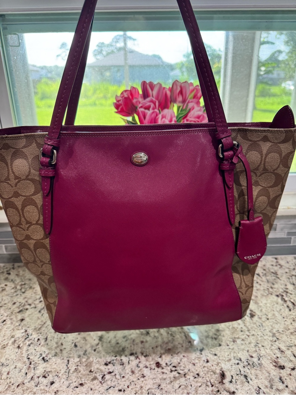 Coach Peyton Signature Canvas Tote